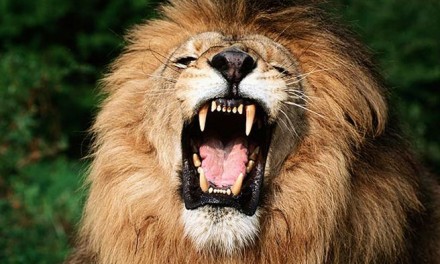 Interesante concepto de Competencia Inteligente