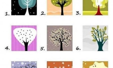 Test de Personalidad