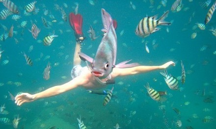 ¿Eres un gerente inteligente?