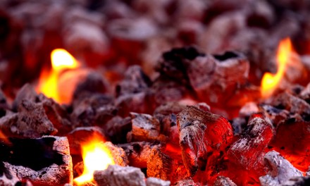 Excelente lección sobre el Trabajo en Equipo