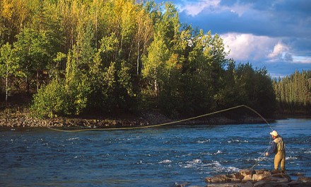 ¿Porqué el #Management es tan parecido a la #PescaDeportiva?